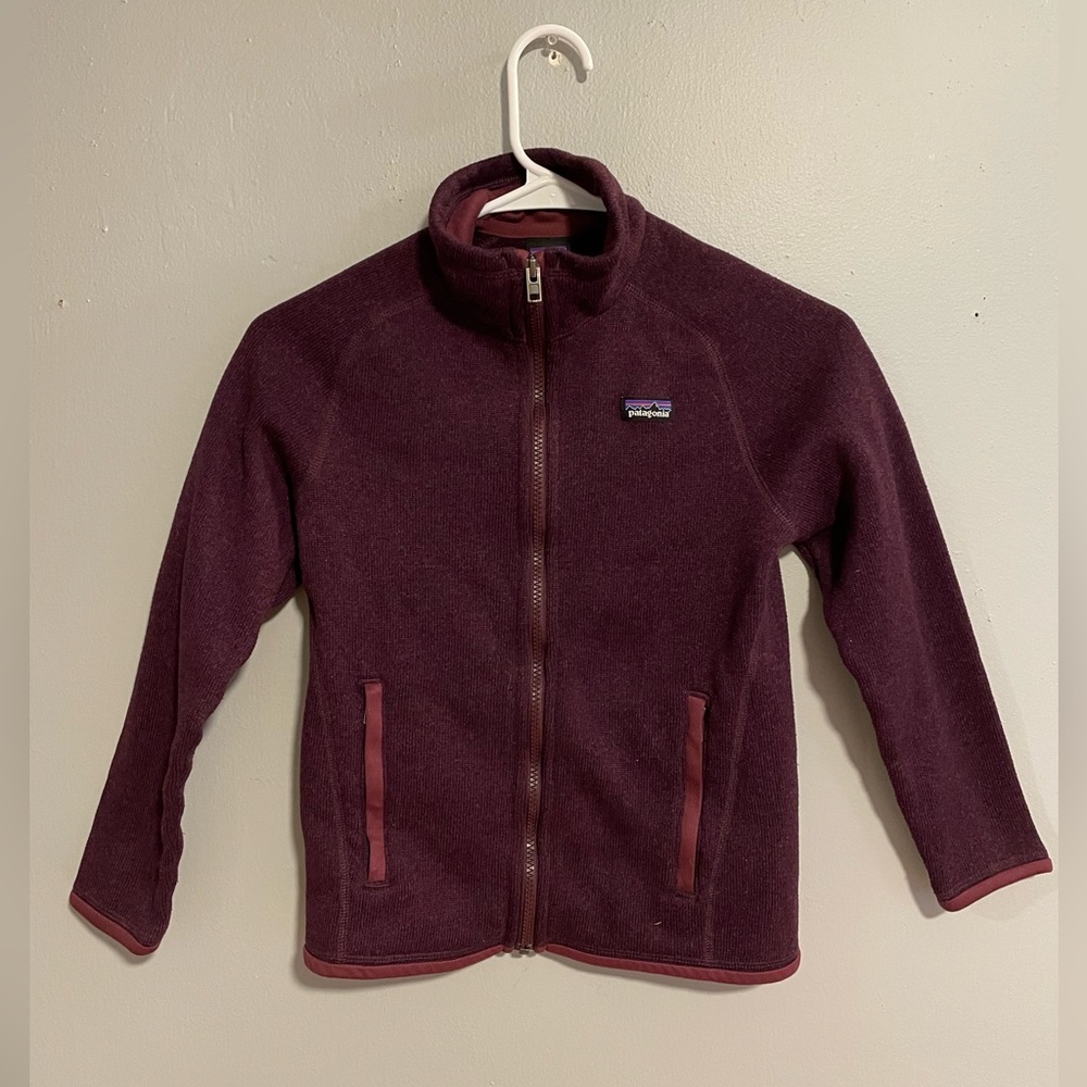 Patagonia Kids Plum Purple Full-Zip Fleece Jacket